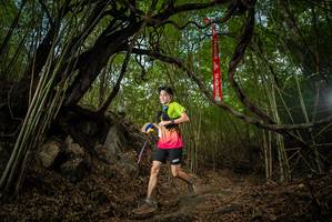 BIB: 
                            <button type="button" onclick="openModal(22177409)" class="btn btn-primary btn-sm float-right btn-popup" data-toggle="modal" data-target=".modal-high-quality">
                        <i class="fas fa-shopping-cart"></i> Add to Cart
                    </button>
                                            <button type="button" onclick="isThisMe(22177409, true)" class="btn btn-success btn-sm float-right btn-popup btn-isme hidden" data-toggle="tooltip" data-placement="bottom" title="นี่คือรูปของคุณใช่ไหม คลิกที่นี่เพื่อเอาเข้าอัลบั้ม">
                        <i class="fas fa-plus"></i> Add to album
                    </button>
                    <button type="button" onclick="isThisMe(22177409, false)" class="btn btn-warning btn-sm float-right btn-popup btn-isnotme hidden">
                        <i class="fas fa-ban"></i> Remove from album
                    </button>